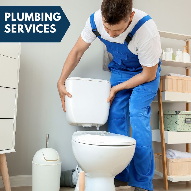Plumbing Company in Secor, IL